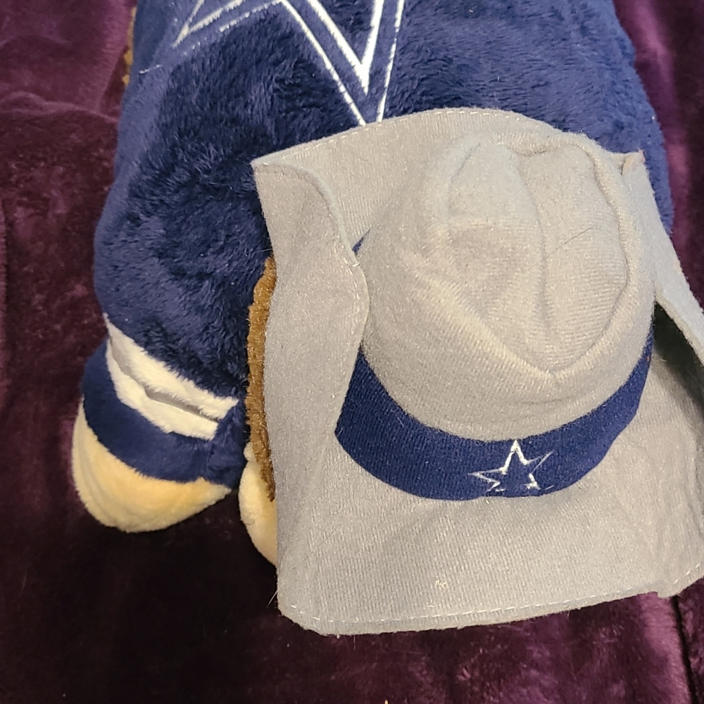 Pillow pet